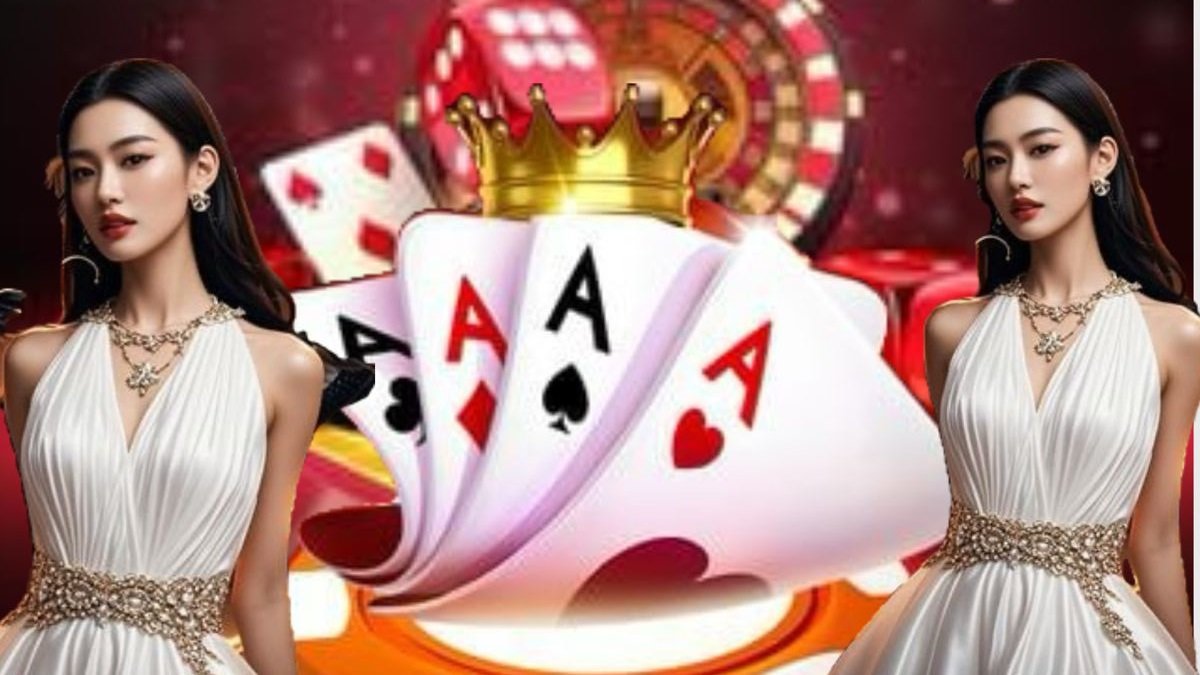 3537 bet