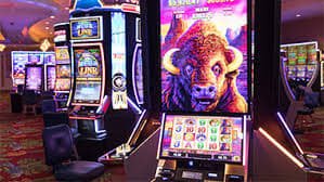 3537 bet